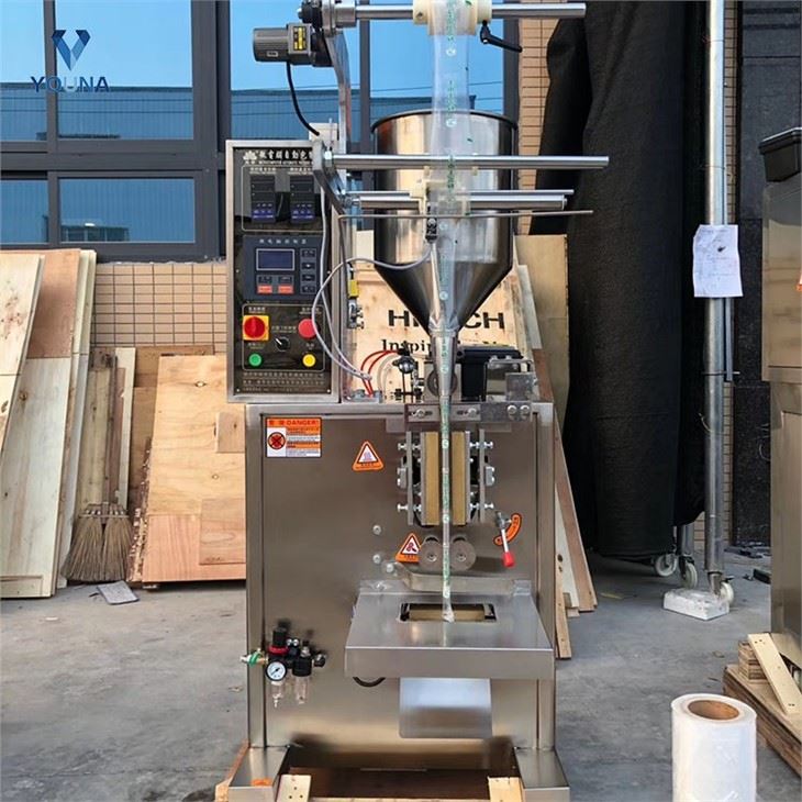 automatic paste packing machine (2)
