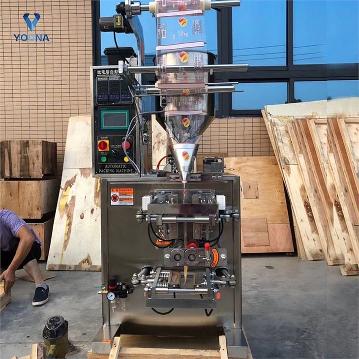 automatic paste packing machine (3)